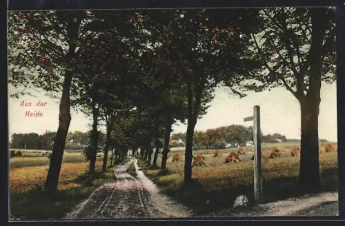 AK Adolphsheide, Ortspartie