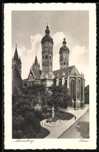 AK Naumburg / Saale, Blick zum Dom