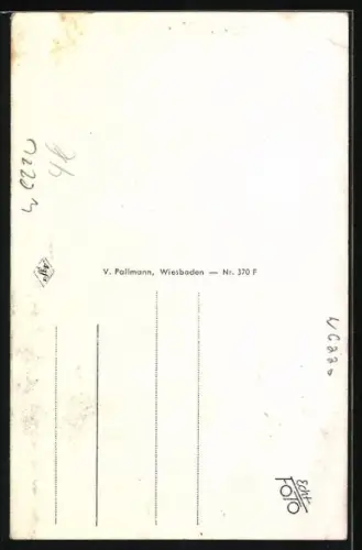 AK Rüdesheim / Rhein, Strassenpartie Drosselgasse