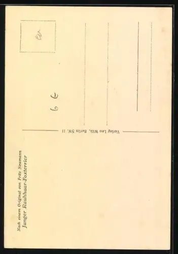 AK Der neugierige Fratz, Junger Rauhaar-Foxterrier