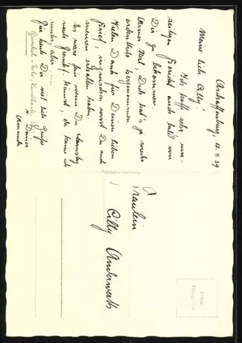 AK Terrier auf einer Parkbank