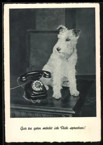 AK Gar zu gern..., Terrier mit Telefon