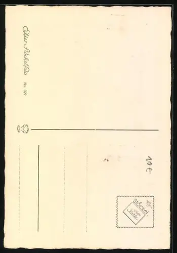 AK Junger Terrier, in der Sonne sitzend