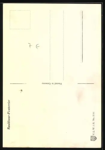 AK Rauhaar-Foxterrier mit gebeugtem Kopf