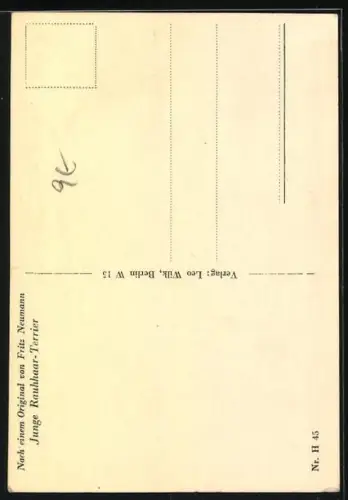 AK Zwei junge Rauhaar-Foxterrier mit gebanntem Blick