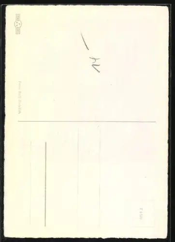 AK Zwei lebhafte Skye-Terrier