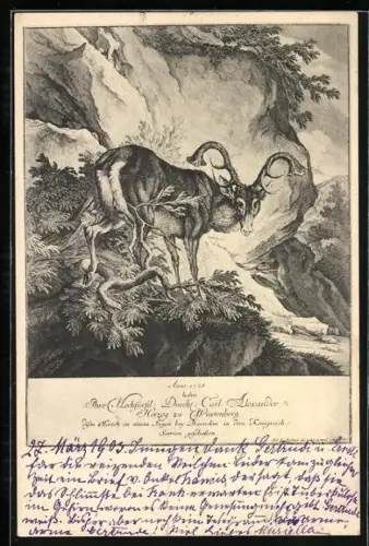 Lithographie Hirsch mit ungewöhnlichem Geweih in karger Berglandschaft