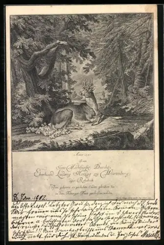 AK Hirsch, auf einer Waldlichtung liegend