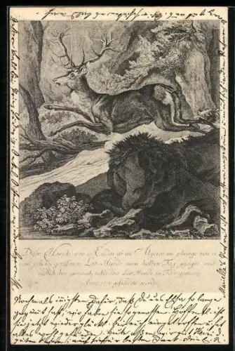 Lithographie Hirsch flieht vor dem Jagdhund