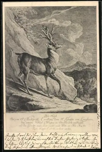 AK Hirsch vor einem Felsen im Mondlicht