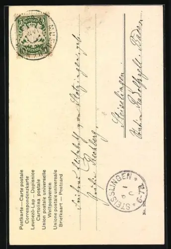 AK Hirsch vor einem Felsen im Mondlicht