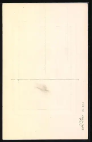 AK Katze mit Briefumschlag, Neujahrsgruss