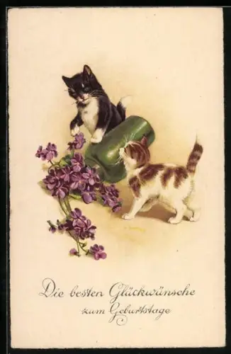 AK Zwei Katzen haben eine Vase mit Veilchen umgekippt, Geburtstagsgruss