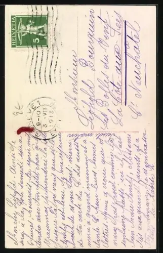 AK Weisse Katze mit grosser Schleife