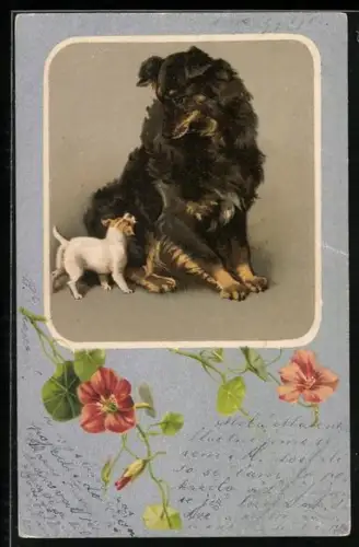 Lithographie Collie mit Welpen, Blumen