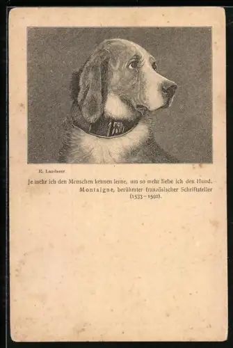 Lithographie Hund mit Halsband, Berliner Tierschutzverein
