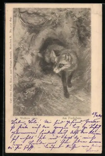 AK Fuchs am Fuchsbau