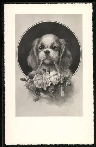 AK Spaniel hält einen Korb mit Rosen