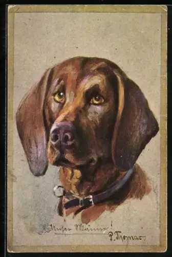 AK Portrait eines Jagdhundes mit Halsband