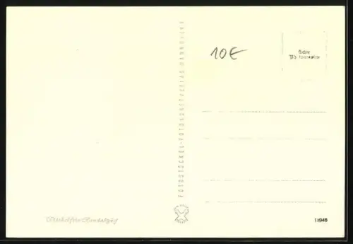 AK Acht Jagdhunde unter einem niedrigen Dach