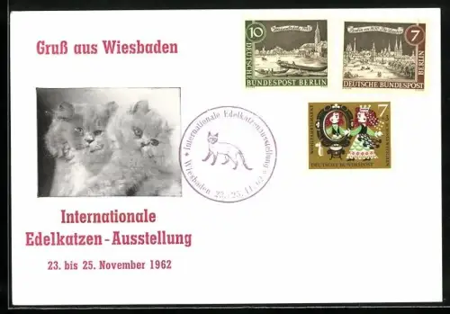 AK Wiesbaden, Edelkatzen-Ausstellung 1962, Zwei junge Katzen