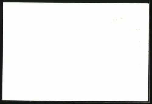 AK Wiesbaden, Edelkatzen-Ausstellung 1962, Zwei junge Katzen