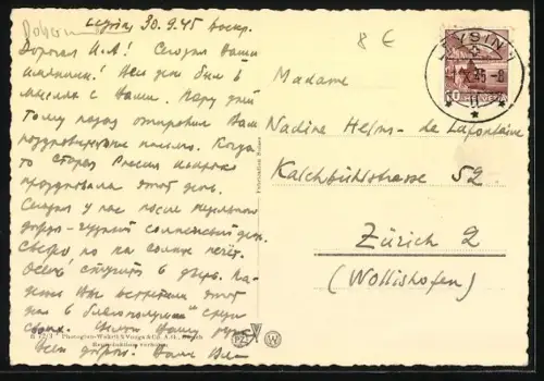 AK Dobermann mit gespitzten Ohren auf einer Wiese