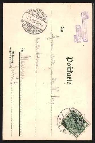 Lithographie Königstein / Taunus, Panorama mit der Burg