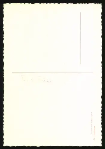 AK Hovawart, Portrait