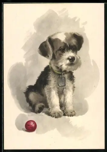 Künstler-AK Kleiner gescheckter Terrier mit Ball