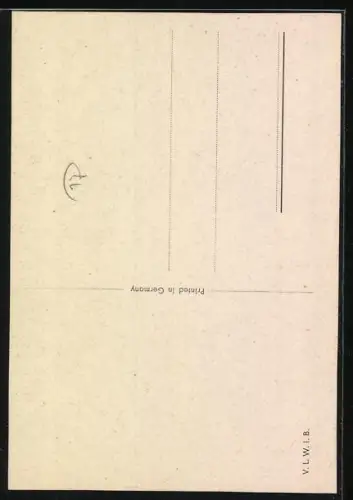 AK Zwergspitz, Portrait