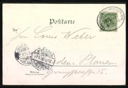 Lithographie Saalburg / Saale, Rathaus, Herzogl. Residenzschloss, Schlösschen Kitzerstein