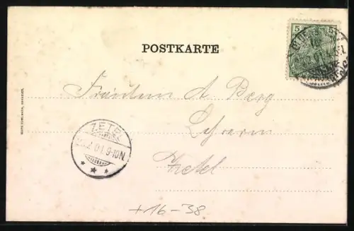 Grusskarten-AK Oldenburg / Gr., Schwanenteich im Schlossgarten, Passepartout mit Schilf und Schwänen