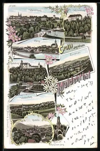 Lithographie Waldenburg / Sachsen, Ortsansichten aus dem Muldental, Rochsburg, Lunzenau, Wechselburg