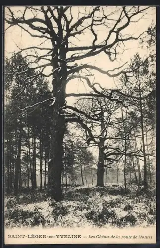 AK Saint-Léger-en-Yveline, Les Chênes de la route de Mantes