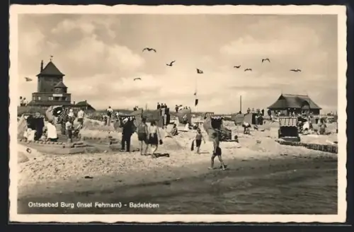 AK Burg / Fehmarn, Badeleben am Strand