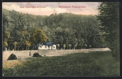 AK Bad Suderode a. Harz, Restaurant Felsenkeller