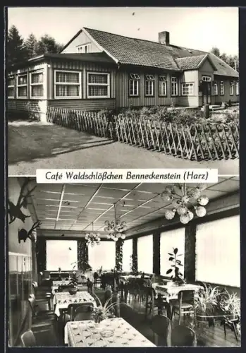 AK Benneckenstein /Harz, Gasthaus Café Waldschlösschen, Aussenansicht und Gastraum