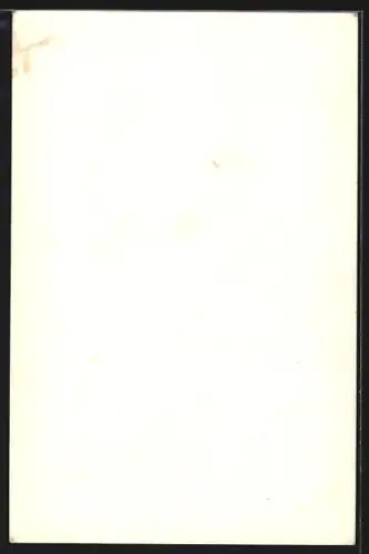 AK Hilchenbach /Siegen, Haus vor und nach Schlämmanstrich mit Dyckerhoff-Weiss