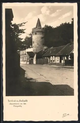 AK Zerbst in Anhalt, Mauerturm an der Priegnitz