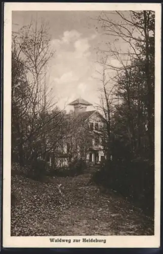 AK Hamburg-Wilhelmsburg, Waldweg zum Jugend-u. Ferienheim Heideburg