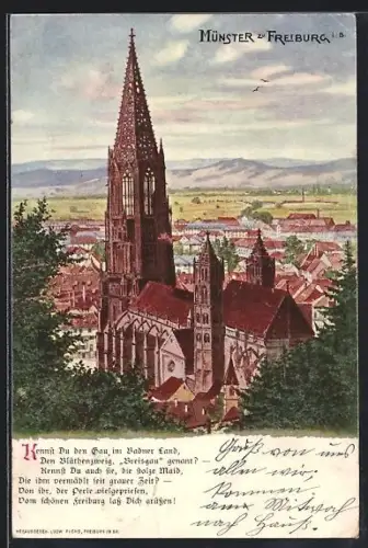 Künstler-AK Freiburg i. B., Münster mit Bergpanorama