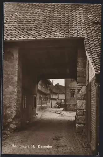 AK Hornburg a. H., Am Dammtor
