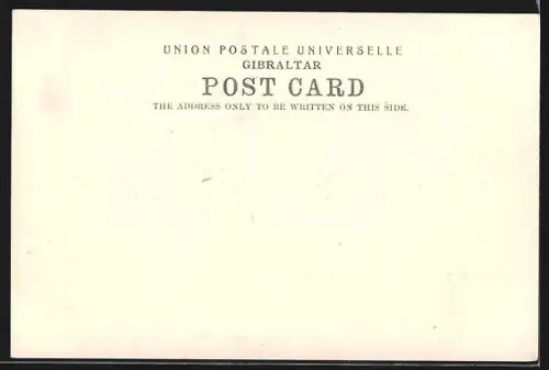 AK Gibraltar, Rock from the Bay