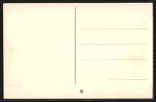 AK Palma /Mallorca, El Terreno y Castillo de Bellver