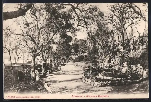 AK Gibraltar, Alameda Gardens