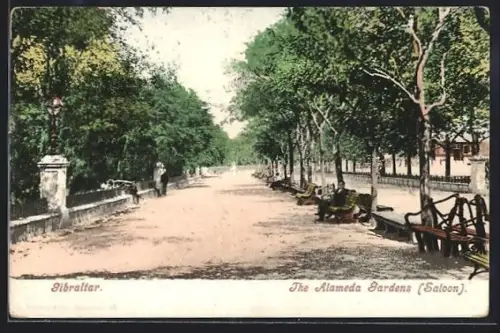 AK Gibraltar, The Alameda Gardens