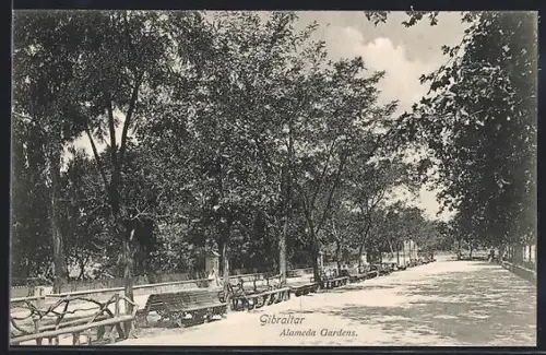 AK Gibraltar, Alameda Gardens