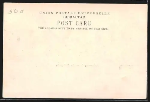 AK Gibraltar, Panorama from the old mole