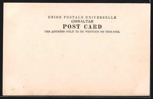 AK Gibraltar, The Commercial Mole